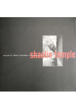 Shaolin temple