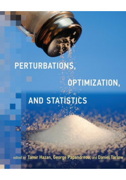 Perturbations, Optimization, and Statistics