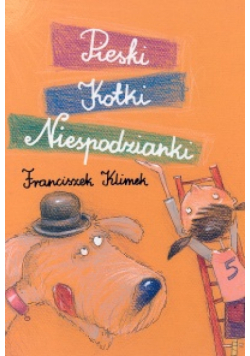 Pieski, kotki, niespodzianki