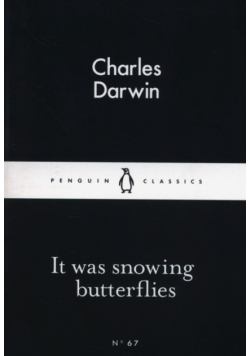 It Was Snowing Butterfies