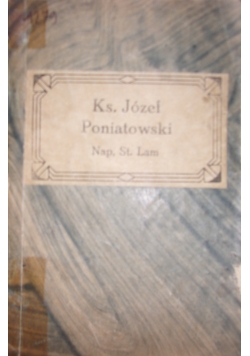Książę Józef Poniatowski 1913r.