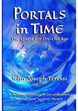 Portals in Time