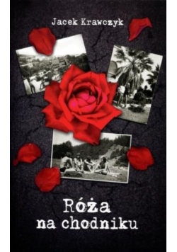 Róża na chodniku