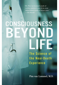 Consciousness Beyond Life
