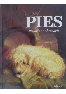 Pies historia w obrazach