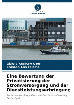 Eine Bewertung der Privatisierung der Stromversorgung und der Dienstleistungserbringung