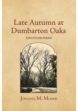 Late Autumn at Dumbarton Oaks