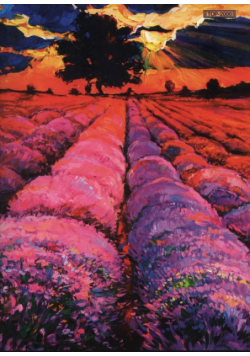 Zeszyt A5 Top2000 w kratkę 96 kartek Art