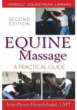 Equine Massage