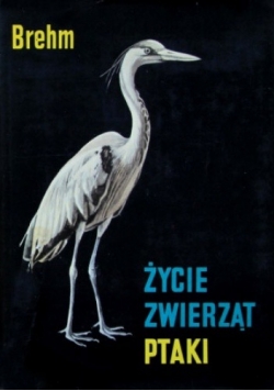 Życie zwierząt. Ptaki