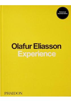 Olafur Eliasson Experience