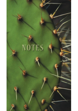 Notes bloczkowy ND 101 z długopisem Kaktus