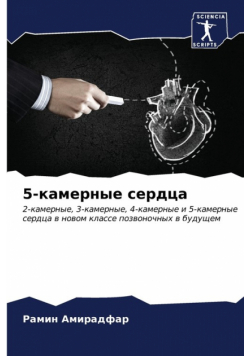 5-камерные сердца