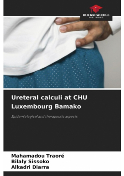 Ureteral calculi at CHU Luxembourg Bamako