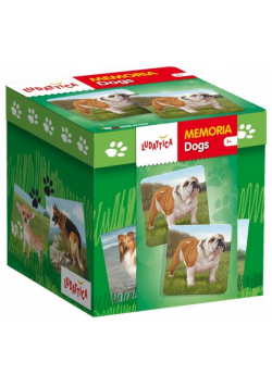 Ludattica Memoria Fauna Dogs