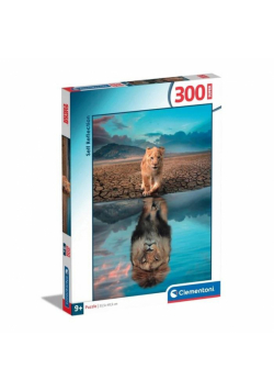 Puzzle 300 Super Self Reflection