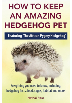 How to Keep an Amazing Hedgehog Pet. Featuring 'The African Pygmy Hedgehog' !!