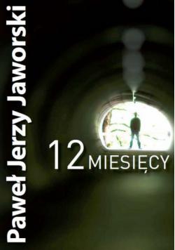 12 miesięcy