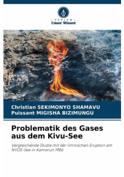 Problematik des Gases aus dem Kivu-See