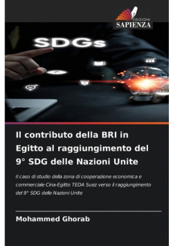 Il contributo della BRI in Egitto al raggiungimento del 9° SDG delle Nazioni Unite