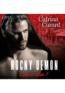 Czarci dom 1: Nocny demon – seria erotyczna