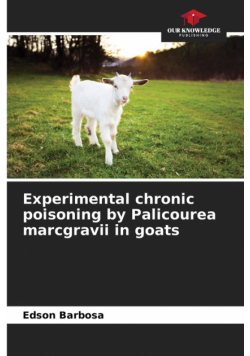 Experimental chronic poisoning by Palicourea marcgravii in goats