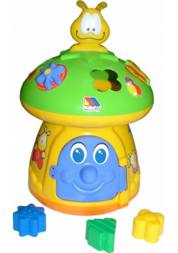 Sorter Grzyb