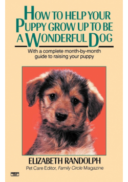 How to Help Your Puppy Grow Up to Be a Wonderful Dog