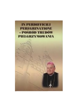 In Perdifficili Peregrinatione - pośród trudów pielgrzymowania