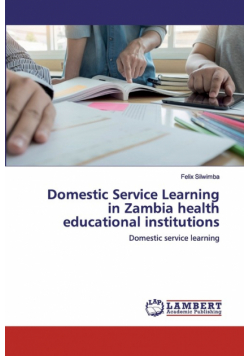Domestic Service Learning in Zambia health educational institutions