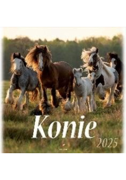 Kalendarz 2025 wieloplanszowy Konie