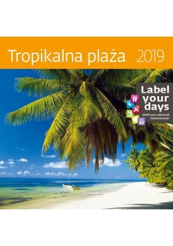 Kalendarz 2019 30x30 Tropikalna plaża HELMA