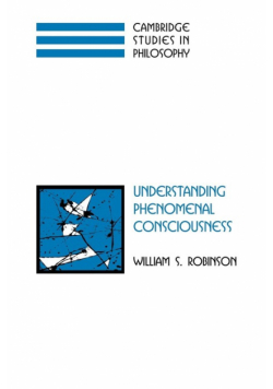 Understanding Phenomenal Consciousness