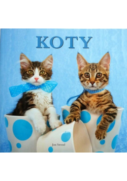Koty