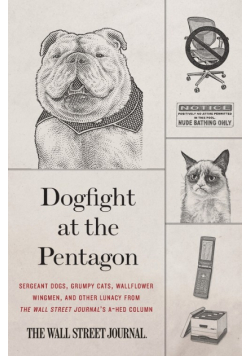 Dogfight at the Pentagon