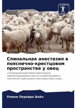 Спинальная анестезия в пояснично-крестцовом пространстве у овец
