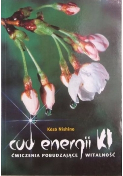 Cud energii KI