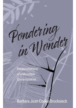 Pondering in Wonder