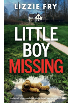 Little Boy Missing