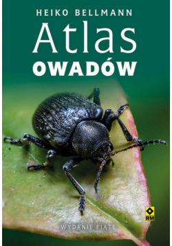 Atlas owadów w5