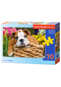Puzzle Sweet Bulldog 70