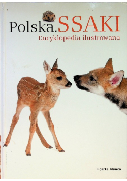 Polska Ssaki Encyklopedia ilustrowana