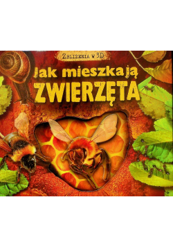 Jak mieszkają zwierzęta 3D