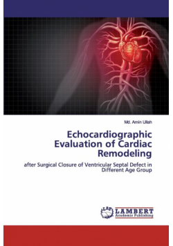 Echocardiographic Evaluation of Cardiac Remodeling