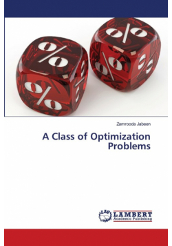 A Class of Optimization Problems