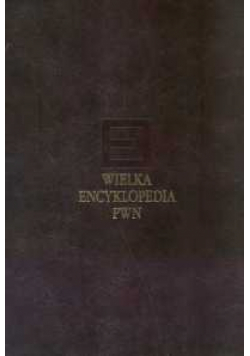 Wielka encyklopedia PWN T.19