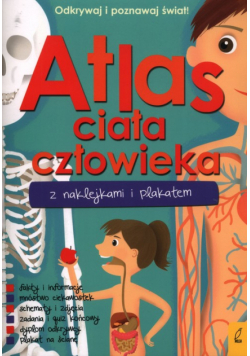 Atlas ciała człowieka z naklejkami i plakatem