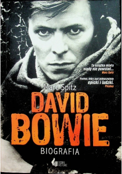 David Bowie Biografia