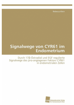 Signalwege von CYR61 im Endometrium