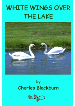 White Wings Over The Lake